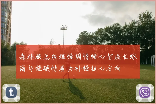 森林狼总经理强调情绪心智成长球商与强硬特质为补强核心方向