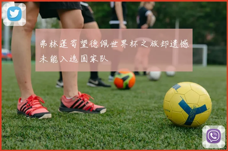 弗林蓬寄望德佩世界杯之旅却遗憾未能入选国家队